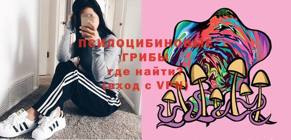 apvp Волоколамск