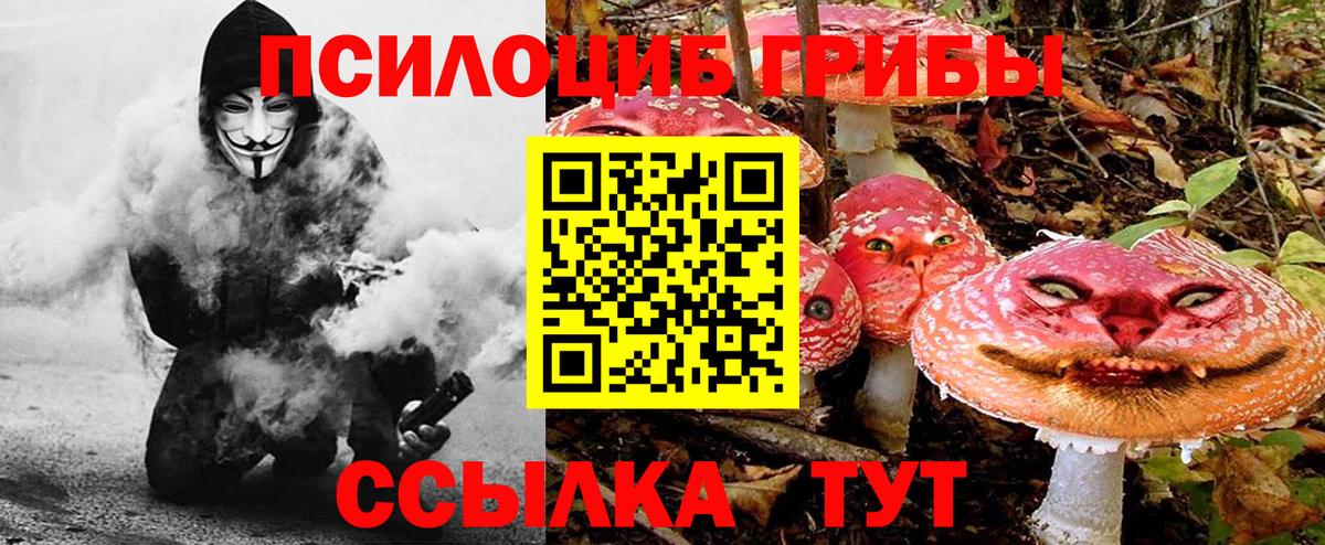 Волгодонск  Галлюциногенные грибы ЛСД  Вход с VPN 